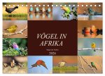 Vögel in Afrika - Magie der Farben (Tischkalender 2026 DIN A5 quer), CALVENDO Monatskalender