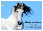 Edle spanische Pferde - Pura Raza Espanola (Wandkalender 2026 DIN A2 quer), CALVENDO Monatskalender