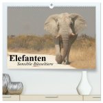 Elefanten. Sensible Rüsseltiere (hochwertiger Premium Wandkalender 2026 DIN A2 quer), Kunstdruck in Hochglanz
