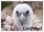 Greifvögel (Wandkalender 2026 DIN A3 quer), CALVENDO Monatskalender