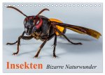 Insekten - Bizarre Naturwunder (Tischkalender 2026 DIN A5 quer), CALVENDO Monatskalender