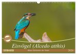 Eisvögel (Alcedo atthis) - Edelsteine der Natur (Wandkalender 2026 DIN A3 quer), CALVENDO Monatskalender
