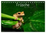 Frösche (Tischkalender 2026 DIN A5 quer), CALVENDO Monatskalender