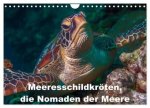 Meeresschildkröten, die Nomaden der Meere (Wandkalender 2026 DIN A4 quer), CALVENDO Monatskalender