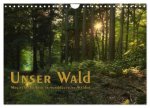 Unser Wald - Magische Sichten in norddeutsche Wälder / Geburtstagskalender (Wandkalender 2026 DIN A4 quer), CALVENDO Monatskalender