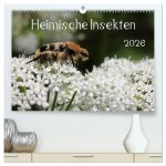Heimische Insekten 2026 (hochwertiger Premium Wandkalender 2026 DIN A2 quer), Kunstdruck in Hochglanz