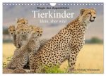 Magie des Augenblicks - Tierkinder - klein, aber wild (Wandkalender 2026 DIN A4 quer), CALVENDO Monatskalender