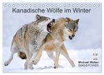 Kanadische Wölfe im Winter (Tischkalender 2026 DIN A5 quer), CALVENDO Monatskalender