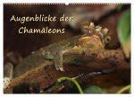 Augenblicke der Chamäleons (Wandkalender 2026 DIN A2 quer), CALVENDO Monatskalender
