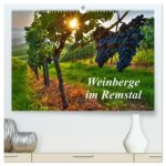 Weinberge im Remstal (hochwertiger Premium Wandkalender 2026 DIN A2 quer), Kunstdruck in Hochglanz
