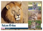 Katzen Afrikas (Wandkalender 2026 DIN A2 quer), CALVENDO Monatskalender