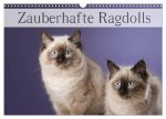 Zauberhafte Ragdolls / Geburtstagskalender (Wandkalender 2026 DIN A3 quer), CALVENDO Monatskalender