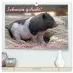Schwein gehabt! (hochwertiger Premium Wandkalender 2026 DIN A2 quer), Kunstdruck in Hochglanz
