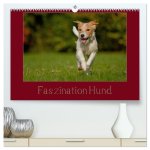 Faszination Hund (hochwertiger Premium Wandkalender 2026 DIN A2 quer), Kunstdruck in Hochglanz