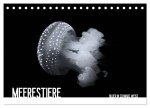Meerestiere Bilder in Schwarz Weiss (Tischkalender 2026 DIN A5 quer), CALVENDO Monatskalender