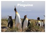 Pinguine in Patagonien (Wandkalender 2026 DIN A3 quer), CALVENDO Monatskalender