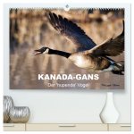 KANADA-GANS - Der 'hupende' Vogel (hochwertiger Premium Wandkalender 2026 DIN A2 quer), Kunstdruck in Hochglanz