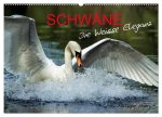 SCHWÄNE. (Wandkalender 2026 DIN A2 quer), CALVENDO Monatskalender