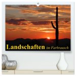 Landschaften im Farbrausch (hochwertiger Premium Wandkalender 2026 DIN A2 quer), Kunstdruck in Hochglanz