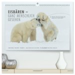 Emotionale Momente: Eisbären - ganz menschlich gesehen. (hochwertiger Premium Wandkalender 2026 DIN A2 quer), Kunstdruck in Hochglanz