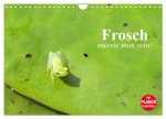 Frosch müsste man sein! (Wandkalender 2026 DIN A4 quer), CALVENDO Monatskalender