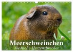 Meerschweinchen Niedliche Herzensbrecher (Wandkalender 2026 DIN A3 quer), CALVENDO Monatskalender