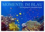 Momente im Blau - Ein Terminplaner für Unterwasser-Freunde (Wandkalender 2026 DIN A2 quer), CALVENDO Monatskalender