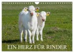Ein Herz für Rinder (Wandkalender 2026 DIN A4 quer), CALVENDO Monatskalender