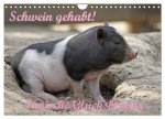 Schwein gehabt! (Wandkalender 2026 DIN A4 quer), CALVENDO Monatskalender