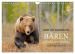 Magie des Augenblicks - Bären in nordischen Wäldern (Wandkalender 2026 DIN A4 quer), CALVENDO Monatskalender