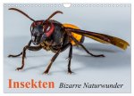 Insekten - Bizarre Naturwunder (Wandkalender 2026 DIN A4 quer), CALVENDO Monatskalender