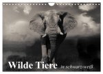 Wilde Tiere in schwarz-weiß (Wandkalender 2026 DIN A4 quer), CALVENDO Monatskalender