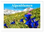 Alpenblumen. Bunte Welt in luftiger Höhe (Wandkalender 2026 DIN A3 quer), CALVENDO Monatskalender