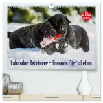 Labrador Retriever - Freunde für's Leben (hochwertiger Premium Wandkalender 2026 DIN A2 quer), Kunstdruck in Hochglanz
