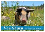Von Säuen die Schwein haben! (Wandkalender 2026 DIN A2 quer), CALVENDO Monatskalender