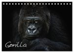 Gorilla (Tischkalender 2026 DIN A5 quer), CALVENDO Monatskalender