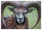 Emotionale Momente: Muffelwild. (Tischkalender 2026 DIN A5 quer), CALVENDO Monatskalender
