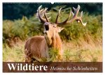 Wildtiere. Heimische Schönheiten (Wandkalender 2026 DIN A2 quer), CALVENDO Monatskalender