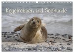 Kegelrobben und Seehunde (Wandkalender 2026 DIN A3 quer), CALVENDO Monatskalender