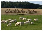Glückliche Kühe (Wandkalender 2026 DIN A3 quer), CALVENDO Monatskalender