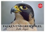Falken und Greifvögel - Edle Jäger (Wandkalender 2026 DIN A3 quer), CALVENDO Monatskalender
