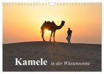 Kamele in der Wüstensonne (Wandkalender 2026 DIN A4 quer), CALVENDO Monatskalender
