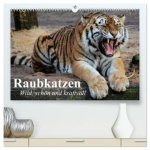 Raubkatzen. Wild, schön und kraftvoll (hochwertiger Premium Wandkalender 2026 DIN A2 quer), Kunstdruck in Hochglanz