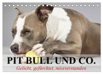 Pit Bull und Co. - Geliebt, gefürchtet, missverstanden (Tischkalender 2026 DIN A5 quer), CALVENDO Monatskalender