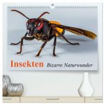 Insekten - Bizarre Naturwunder (hochwertiger Premium Wandkalender 2026 DIN A2 quer), Kunstdruck in Hochglanz