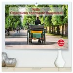 Wien - Österreichs charmante Hauptstadt (hochwertiger Premium Wandkalender 2026 DIN A2 quer), Kunstdruck in Hochglanz