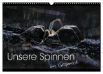 Unsere Spinnen - im Gespräch (Wandkalender 2026 DIN A3 quer), CALVENDO Monatskalender