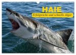 Haie. Erfolgreiche und schnelle Jäger (Wandkalender 2026 DIN A3 quer), CALVENDO Monatskalender