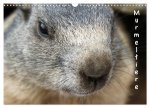 Murmeltiere (Wandkalender 2026 DIN A3 quer), CALVENDO Monatskalender