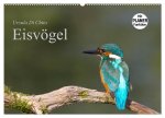 Eisvögel (Wandkalender 2026 DIN A2 quer), CALVENDO Monatskalender